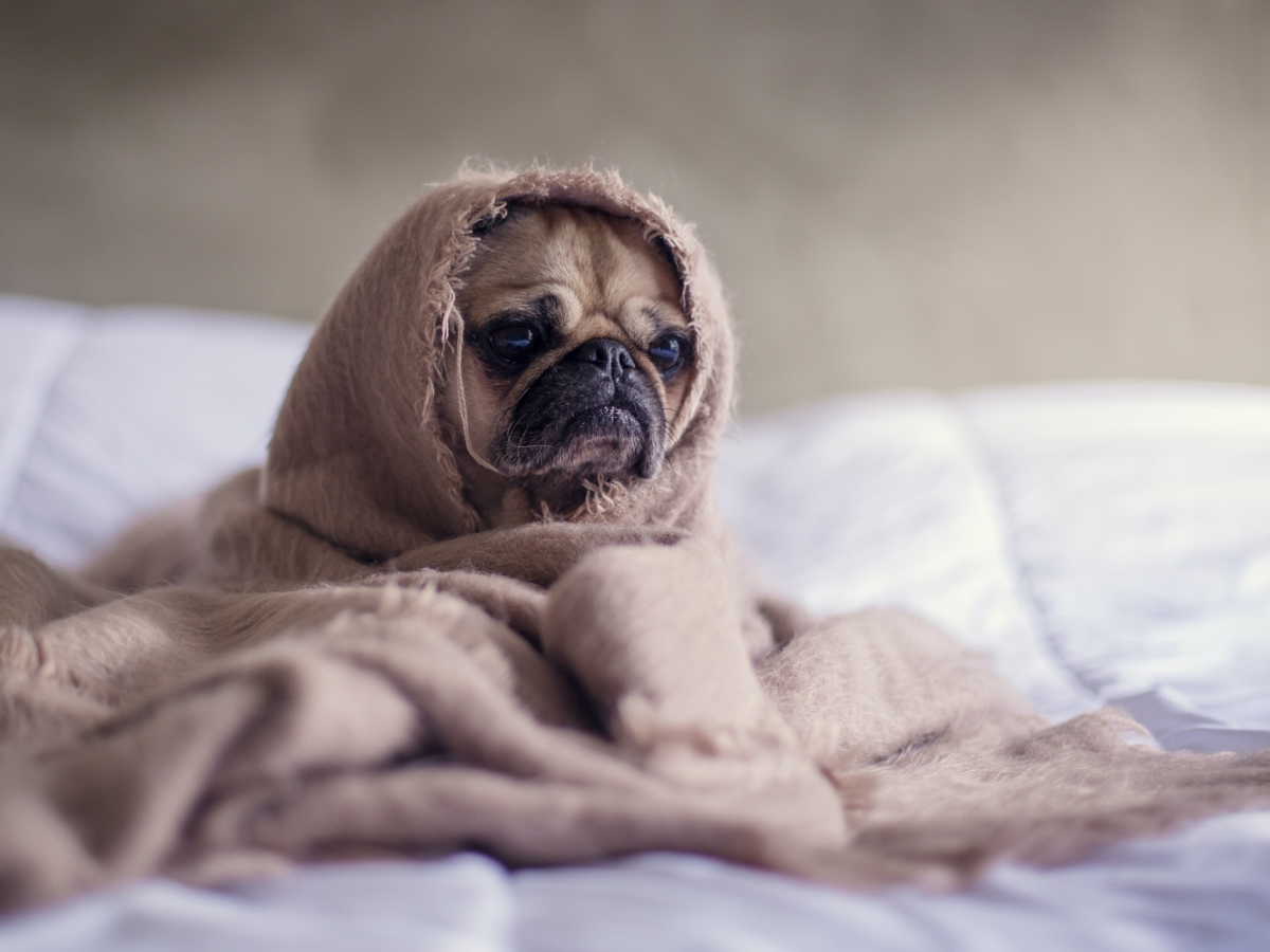 C’est quoi la dépression saisonnière ?