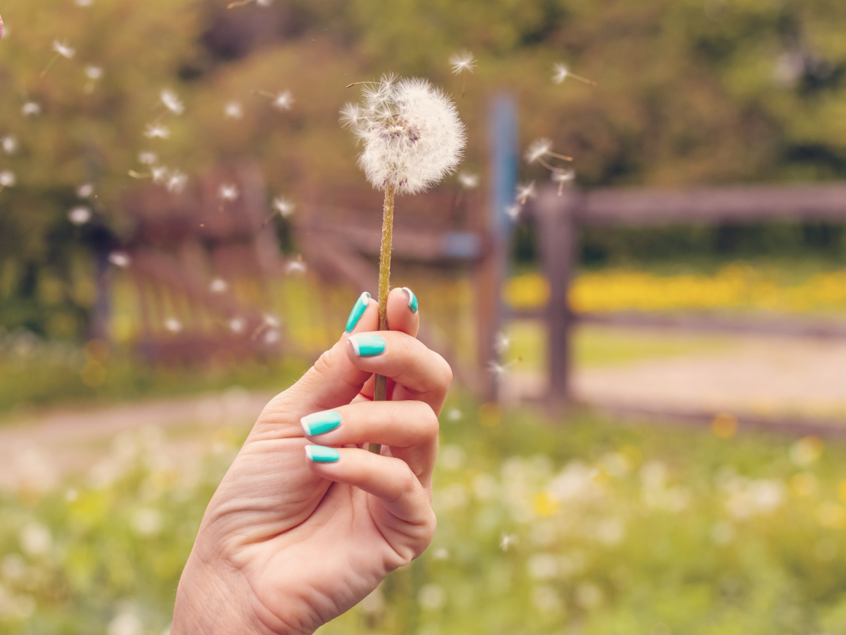 Préparez-vous, les allergies sont à l’affût !